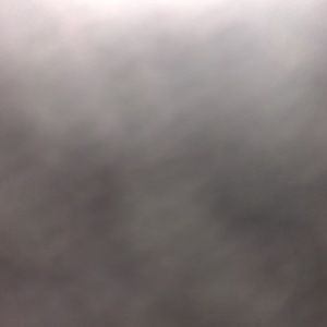 Meet your Posher, Chelsie